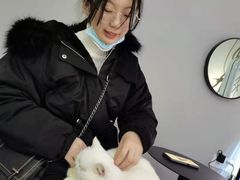 -极木²邸 人与宠物·互动社区