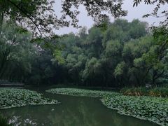 -洛阳市隋唐城遗址植物园