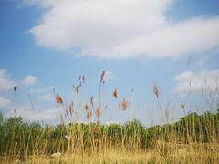 -马家湾湿地公园