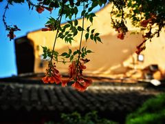 -龙华寺