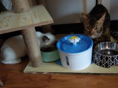 -猫爪屋猫咖(乐汇城店)