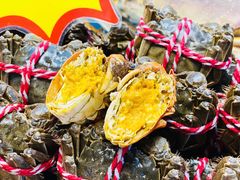 大闸蟹-必点海鲜·鲅鱼水饺(鞍山西道店)