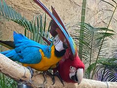 -杭州开元森泊度假乐园