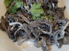 -同合居·非遗东北菜(新阳路店)