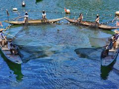 -新安江山水画廊风景区