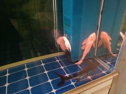 -铂诗玥医美