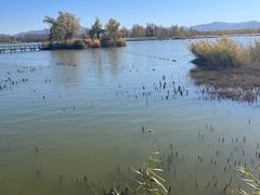 -野鸭湖国家湿地公园