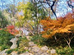 -吴山景区