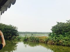 -大湾区中央湿地公园