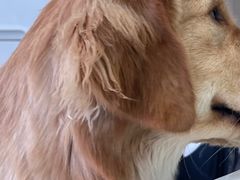 -怪兽屋·羊驼·猫咖·狗咖(俊华广场店)