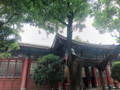 -关中书院