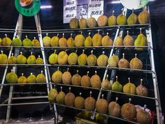 -都念榴莲·城市榴莲