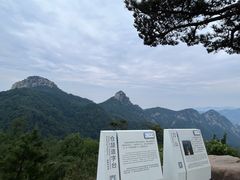 -沂蒙山旅游区云蒙景区(蒙山国家森林公园)