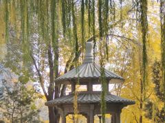 -玲珑塔公园