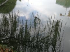 -尚贤河湿地