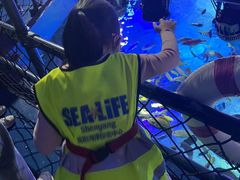 -沈阳海洋探索中心