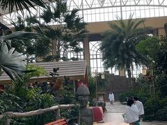 -郑州银基黄帝宫御温泉