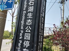 -永定河休闲森林公园
