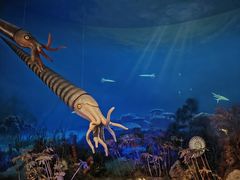 -国家自然博物馆