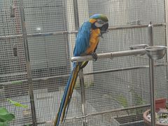 -观桥阁(锦溪店)