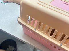 -中农国际动物医院24小时·猫科·骨科·急重症中心