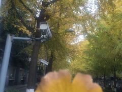 -四川大学(望江校区)