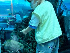 -乐从天佑城海洋馆