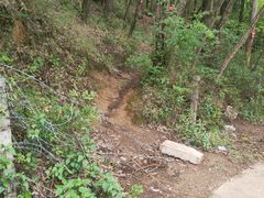 -长虫山生态公园风景林