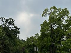 -杭州半山国家森林公园