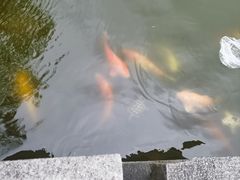 -上海大学(宝山校区)