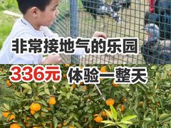 -前小桔亲子创意农场·草莓采摘·露营烧烤