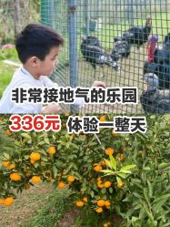 点击看大图 -前小桔亲子创意农场·草莓采摘·露营烧烤