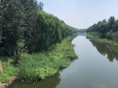 -东郊湿地公园