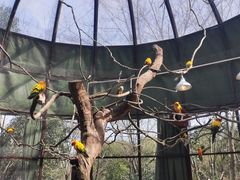-常州淹城野生动物世界