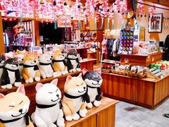 -大江户·温泉洗浴(浑南店)