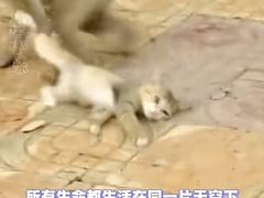 -昆明动物园