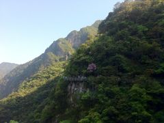 iphone_upload_pic-龙湾潭国家森林公园