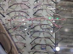 -三叶眼镜城批发市场(上海火车站店)