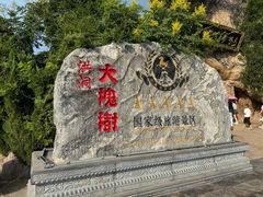 -大槐树寻根祭祖园