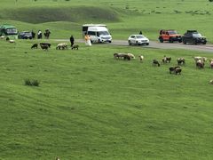 -新疆那拉提国家旅游度假区