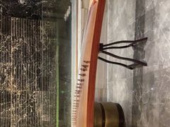 -臻萃轩中餐厅(国家会展中心店)