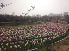 -咸阳湖景区-统一广场