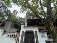 -江心屿景区