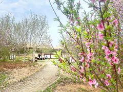 -武汉紫薇都市田园