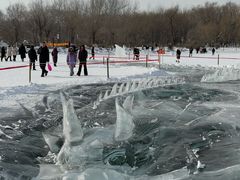 -长春市南湖公园