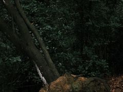 -火炉山森林公园