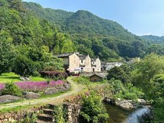 -雁南飞茶田景区