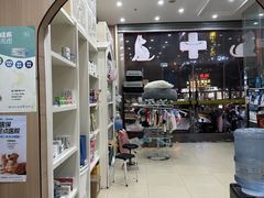 -米苏动物医院·犬猫专科·骨科外科内窥镜