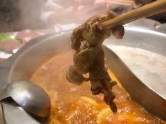 -彤德莱火锅(大学城店)