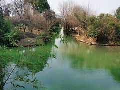 -西溪国家湿地公园